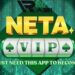 NETA VIP