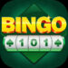 BINGO 101