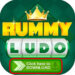 Rummy ludo